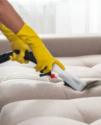 On-Site Stain Removal For Furniture Surfaces