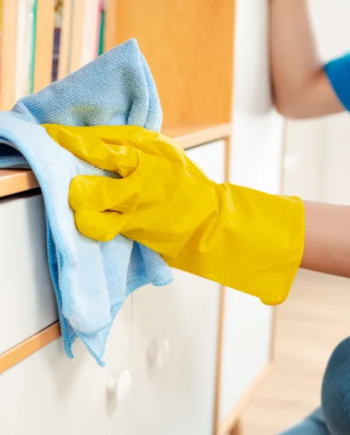 Bulk Maintenance Service For Multiple High-End Furniture Pieces