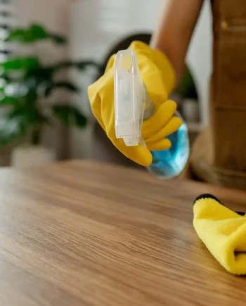 On-Site Cleaning And Maintenance For Fabric Furniture